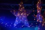 Thumbs/tn_Kerstfeest VdG 2014 029.jpg
